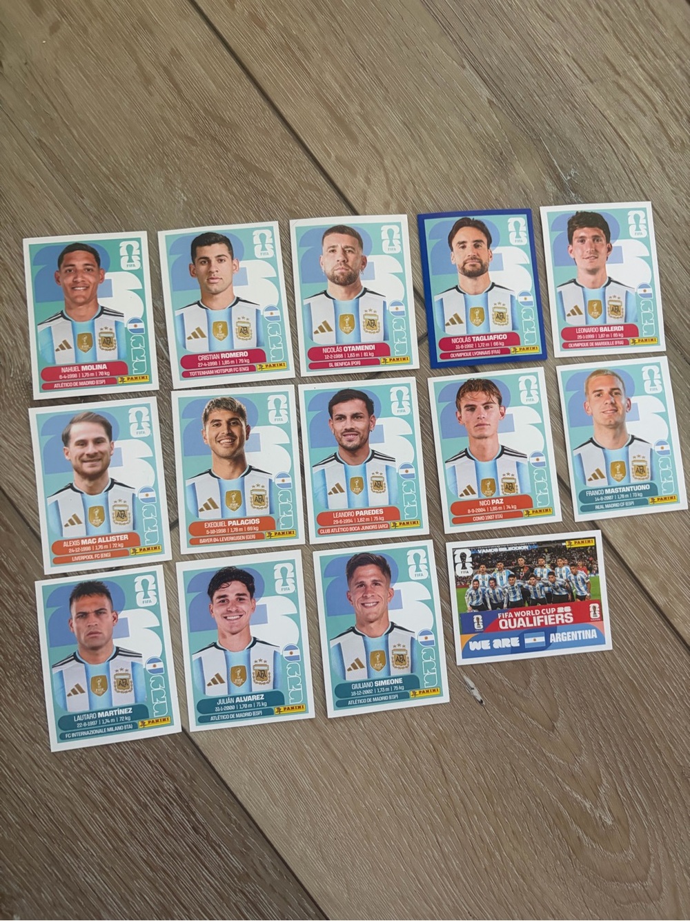 Panini FIFA World Cup Argentina Player Stickers